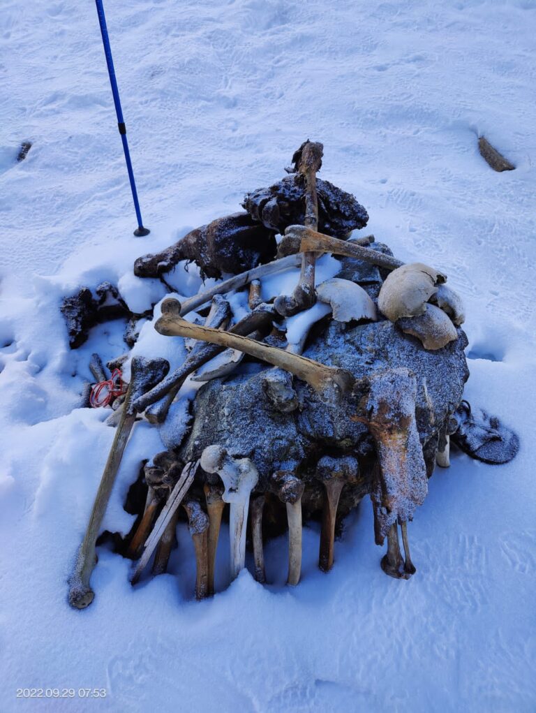 The skeleton found on roopkund trek